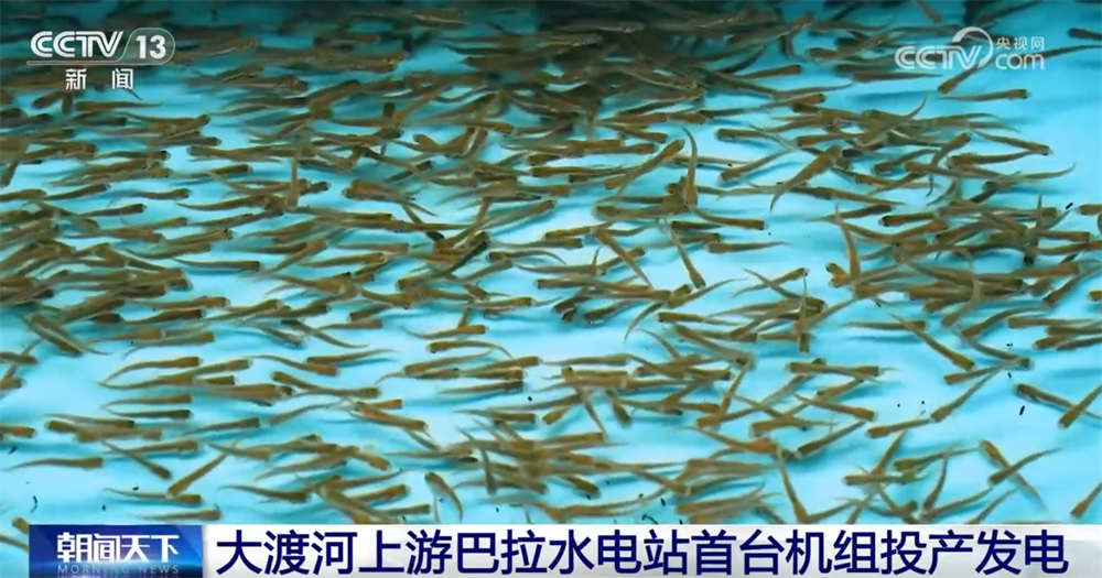 交通畅、航运忙、能源供给有保障 重大工程“硬核”实力彰显中国力量